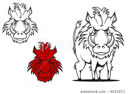 Wild boar Wild boar 4035871