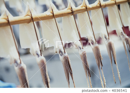 Squid's sun-dried squid 4036541