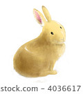 Rabbit  4036617