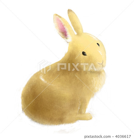 一隻兔子 4036617