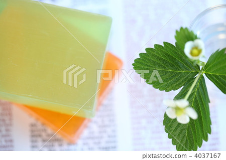 soap, toilet soap, soapy 4037167