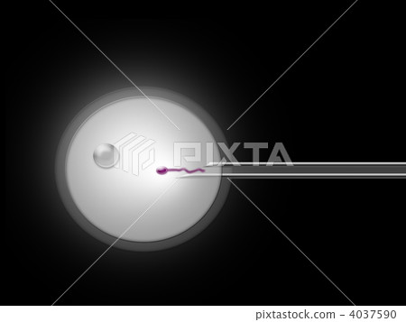 Image of artificial insemination Black background 4037590