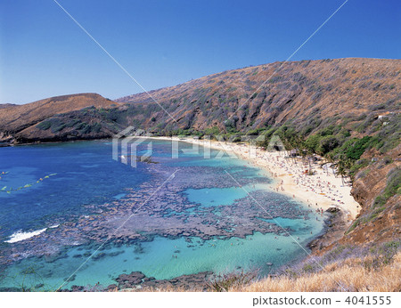 夏威夷的哈瑙瑪灣 夏威夷的哈瑙瑪灣 4041555