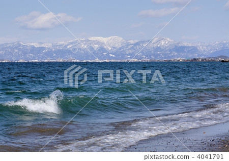 Winter and waterfowl in Lake Biwa Winter and waterfowl in Lake Biwa 4041791