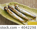  毛鱗魚 4042298