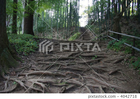 World Heritage Site Chusonji 4042718