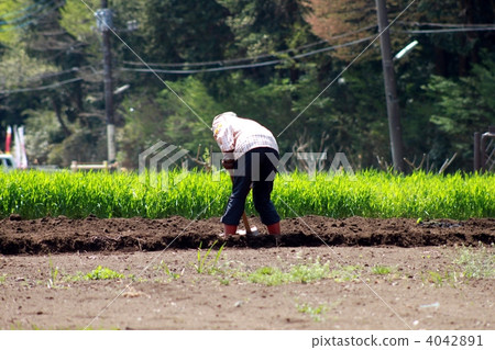 Satoyama old private house farm work woman Satoyama old private house farm work woman 4042891