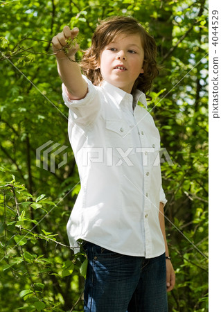 Boy and the leaf 4044529