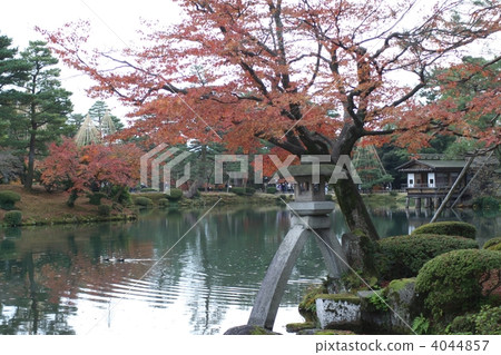 Kenrokuen of autumnal leaves Kenrokuen of autumnal leaves 4044857