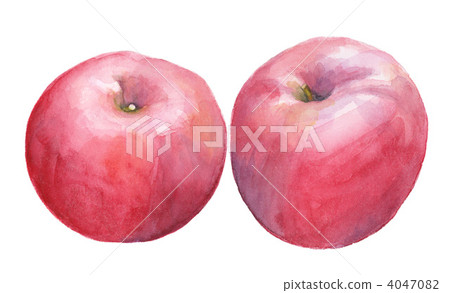 Two red apple 4047082