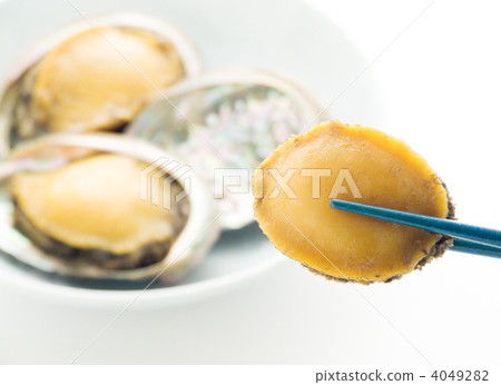 用味噌燉鮑魚 4049282