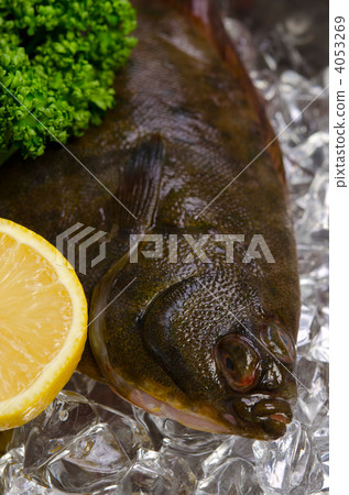 大理石唯一 大理石唯一 4053269