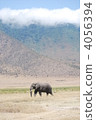 elephant  4056394