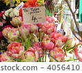 market, markets, tulipa 4056410