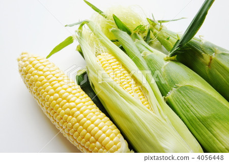玉米 4056448