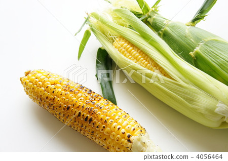 Grilled corn 4056464