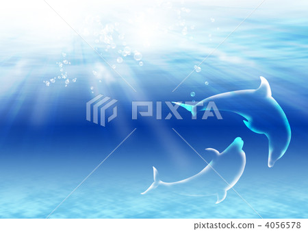 藍色海豚 4056578
