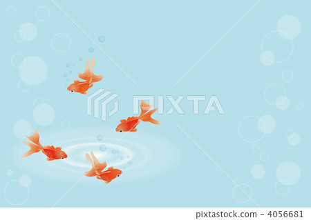 金魚 - 01■金魚·Washigi·流動的錢·泡沫·波紋·夏天圖像 金魚 - 01■金魚·Washigi·流動的錢·泡沫·波紋·夏天圖像 4056681