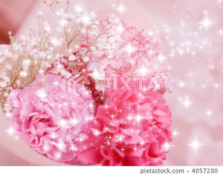 carnation, carnations, flower 4057280