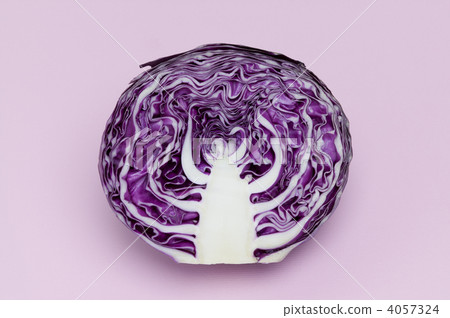 Murasaki cabbage 4057324