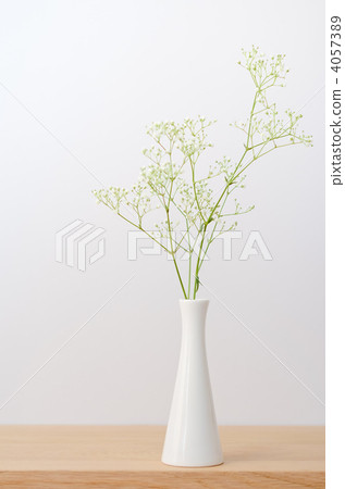 vase for one flower, baby's breath, common gypsophila 4057389