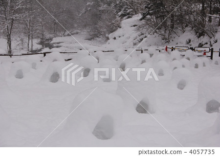 mini kamakura, a lot, many 4057735