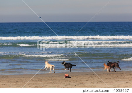 ocean, sea, the sea 4058437