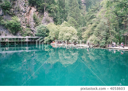 Jiuzhaigou Bear Cat Sea Jiuzhaigou Bear Cat Sea 4058603