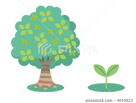 growing tree, tachiki, standing tree 4059823