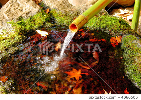 Shishido and autumn leaves 4060506