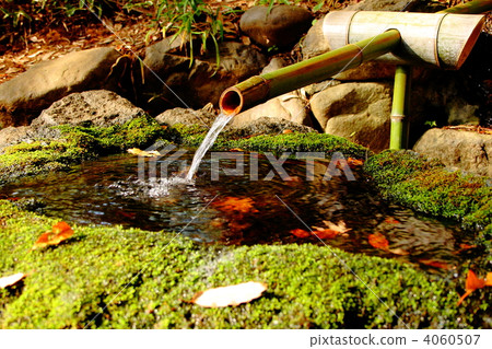 Shishido and autumn leaves 4060507