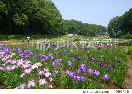 青梅市Fukiage Sho Park Park 4060726