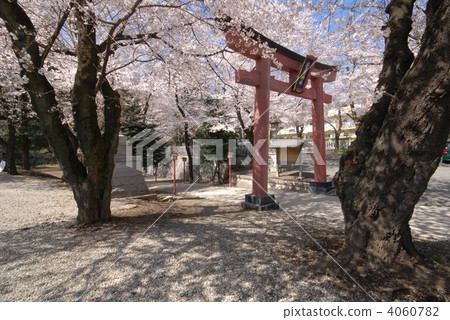 Machida Sugawara Shrine Machida Sugawara Shrine 4060782