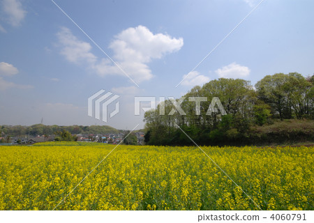 町田市南國大山 町田市南國大山 4060791