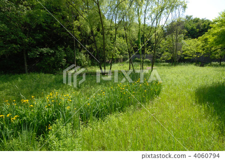 町田市Nozida公園 町田市Nozida公園 4060794