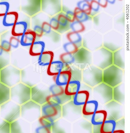 dna, deoxyribonucleic, double helix 4061202