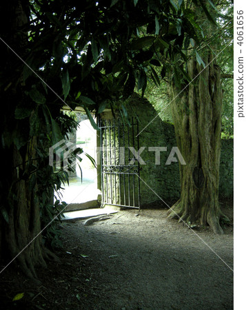 Doors in the forest Doors in the forest 4061656