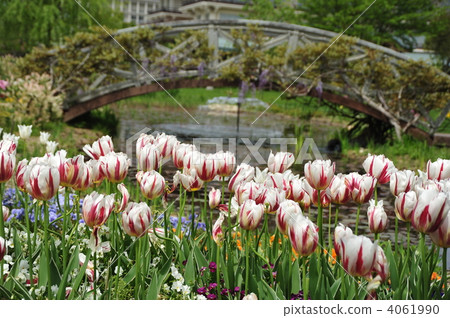  English garden 4061990