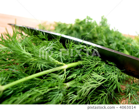 Dill herb cut 4063014