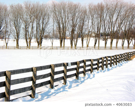 Farm fence and trees 1 4063083
