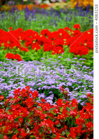 Blooming garden Blooming garden 4063158