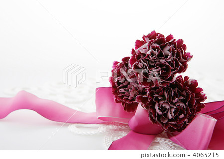 紫色優雅的康乃馨和緞帶 4065215
