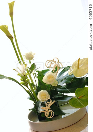 Color green interior 4065716