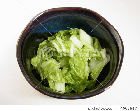 大白菜醃菜 4066647