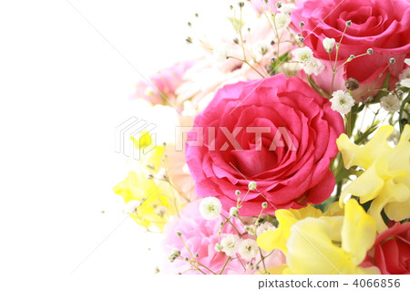 Colorful arrangement 4066856