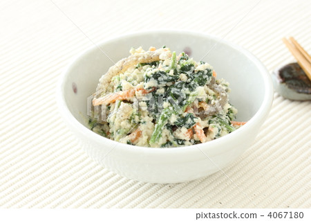 菠菜的白度 4067180