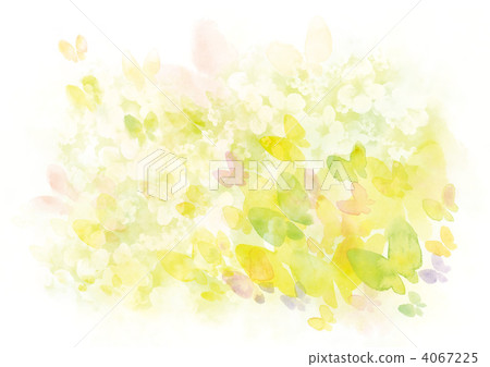 蝴蝶和鮮花 4067225