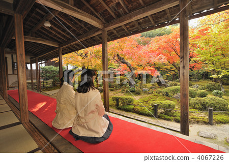 京都Ginkoji庭院在秋天和遊人 4067226