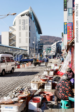 Jagalchi Market Area Jagalchi Market Area 4067462
