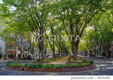 Sendai Jozenji Street (Sendai City, Miyagi Prefecture) Sendai Jozenji Street (Sendai City, Miyagi Prefecture) 4070485